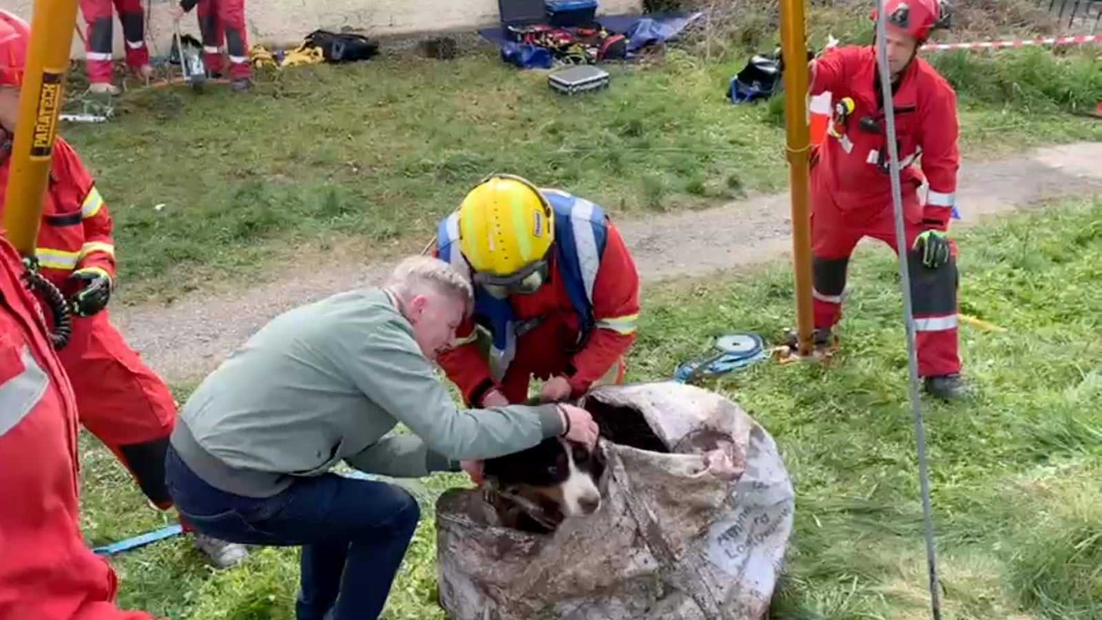 Watch: Dog rescued from suspected old well in Offaly